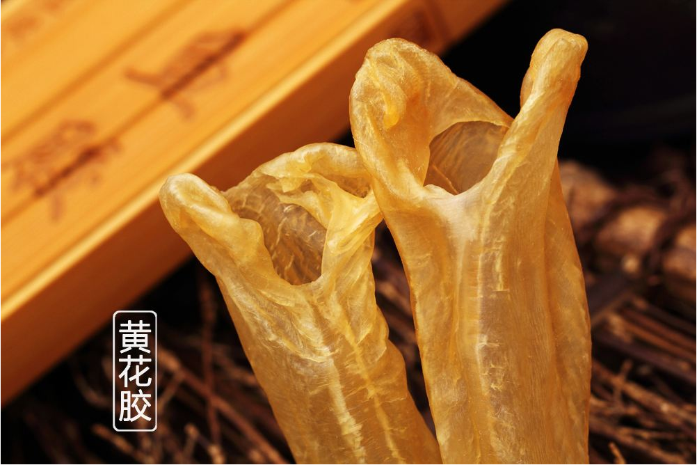 珠海鱼胶回收商家