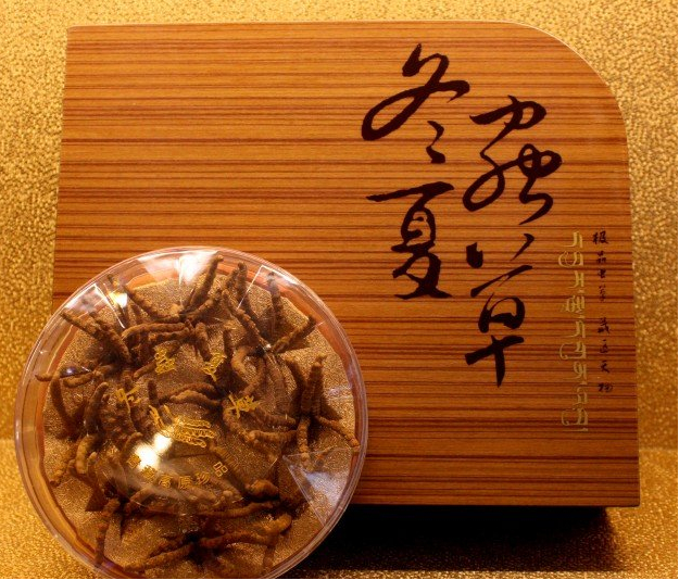 金湾冬虫夏草回收商家