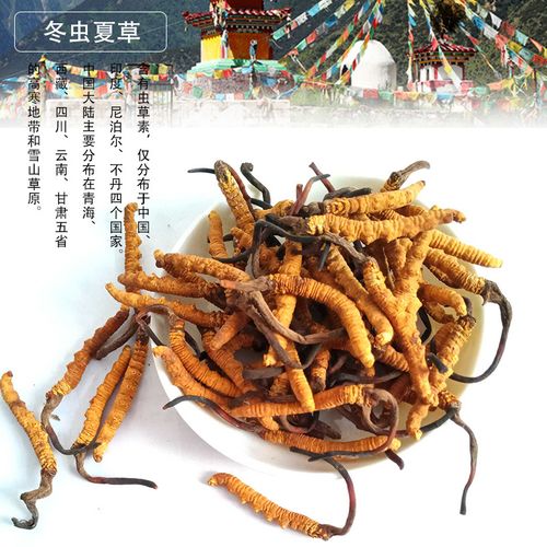 斗门冬虫夏草回收商家
