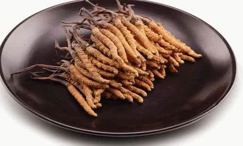香洲虫草回收