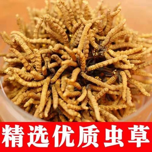 斗门虫草回收价格