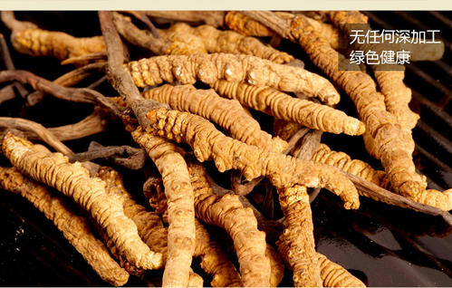 斗门虫草回收价格